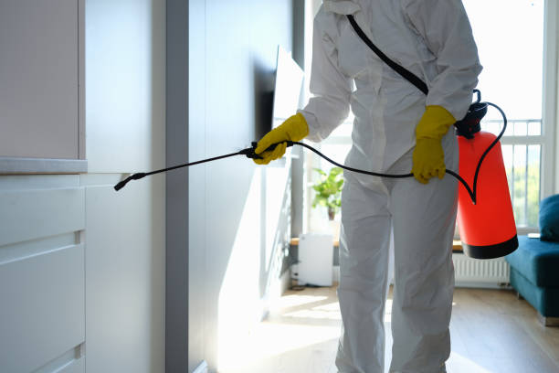 Best Professional Mold Removal  in Woodburn, VA