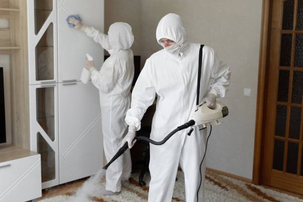 Best Attic Mold Removal  in Woodburn, VA