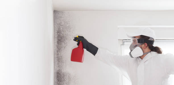 Best Residential Mold Removal  in Woodburn, VA