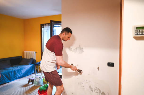 Best Local Mold Removal Service  in Woodburn, VA